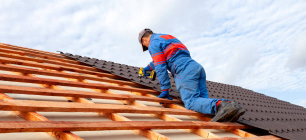 Best Roof Moss and Algae Removal  in Pinedale, WY