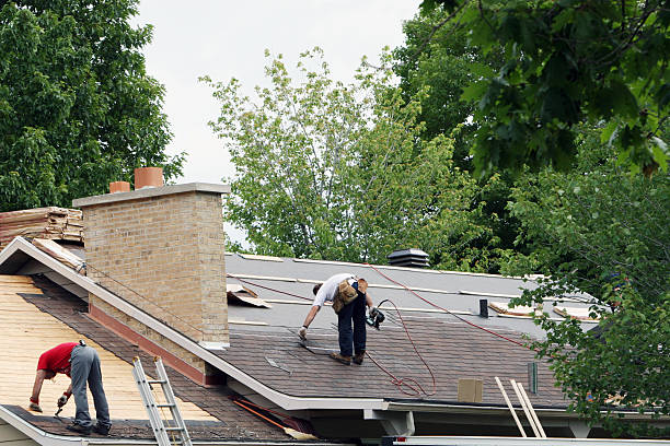 Best Green or Eco-Friendly Roofing Solutions  in Pinedale, WY