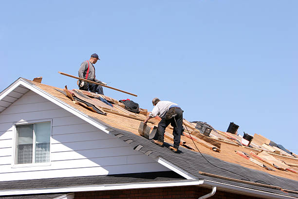 Best Emergency Roof Repair Services  in Pinedale, WY