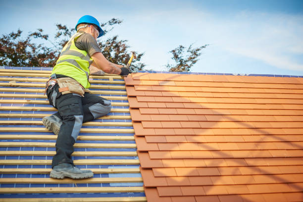 Best Roof Coating and Sealing  in Pinedale, WY